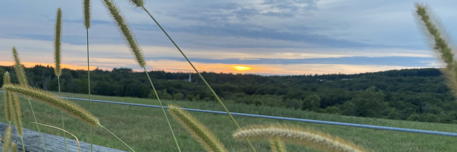 MaryNovick's profile banner image