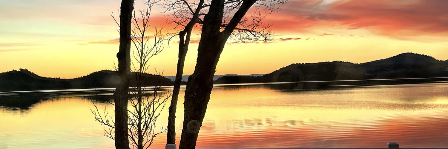 AngieGarnier's profile banner image