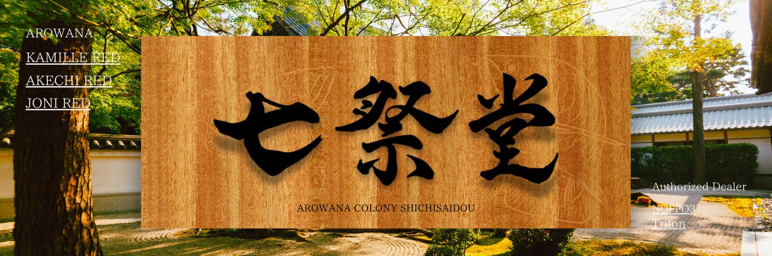 アロワナコロニー 七祭堂 banner