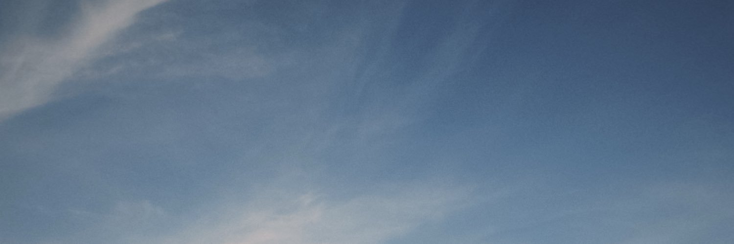 damon banner
