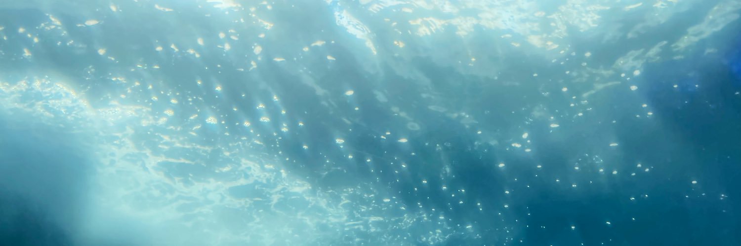 capsella__'s profile banner image