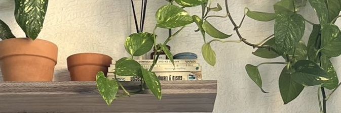 Sebastián Hinojosa martinez banner