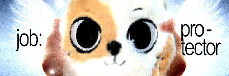 尊保 banner