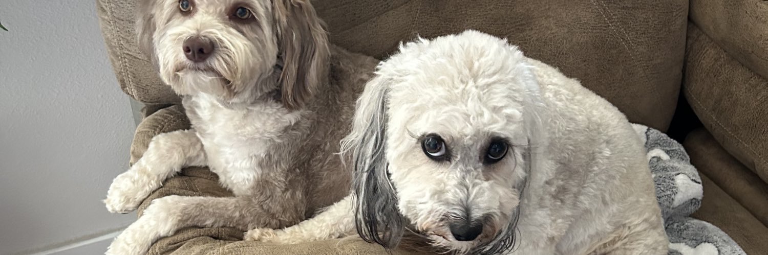 Dr. Yvette Theriault banner