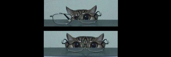 u_gentile Profile Banner