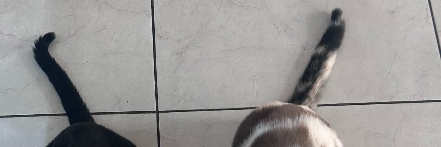 joceelynmtzx's profile banner image