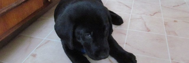 cinzi10's profile banner image