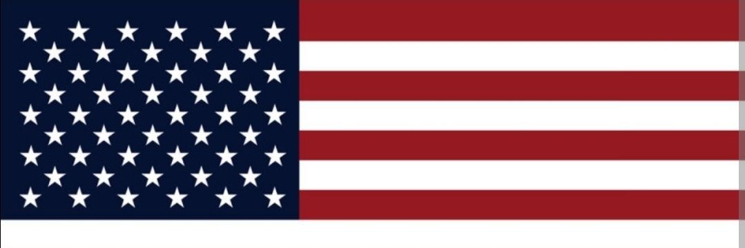 The Stable Centrist banner