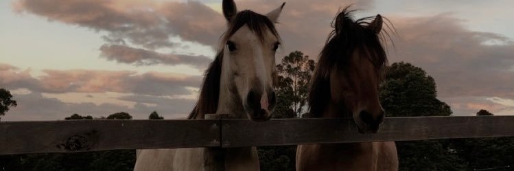 𝙧𝐞𝐝 𝙘𝐚𝐥𝐥𝐚𝐡𝐚𝐧. banner