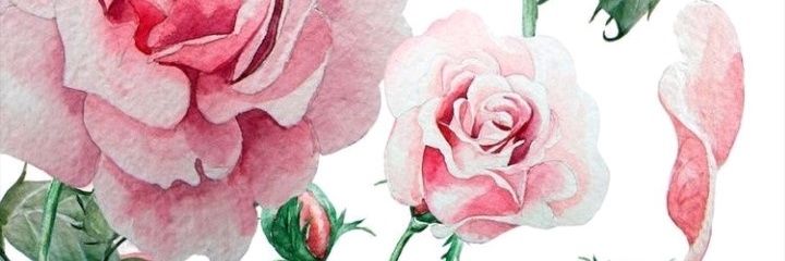 daaniegimenez's profile banner image