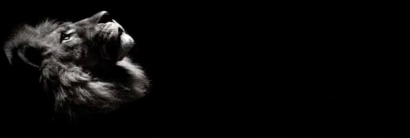sudn9m's profile banner image