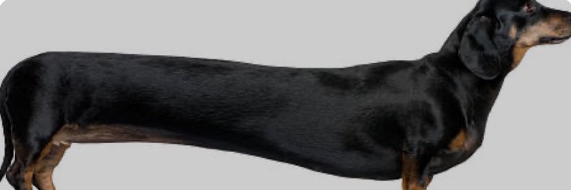 Jakeplaysbow's profile banner image