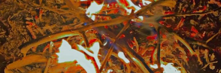 janibuzdar30's profile banner image