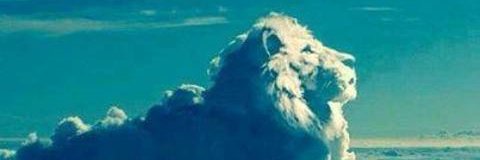 Hawk_Rising's profile banner image