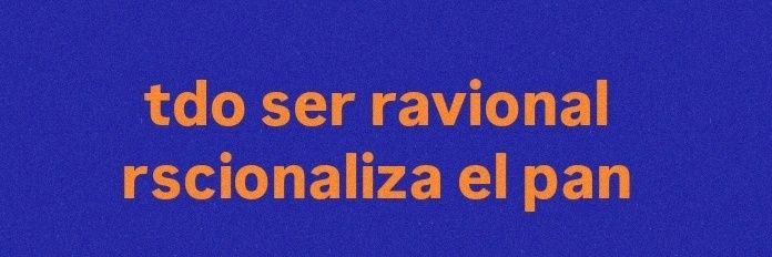 bianca banner
