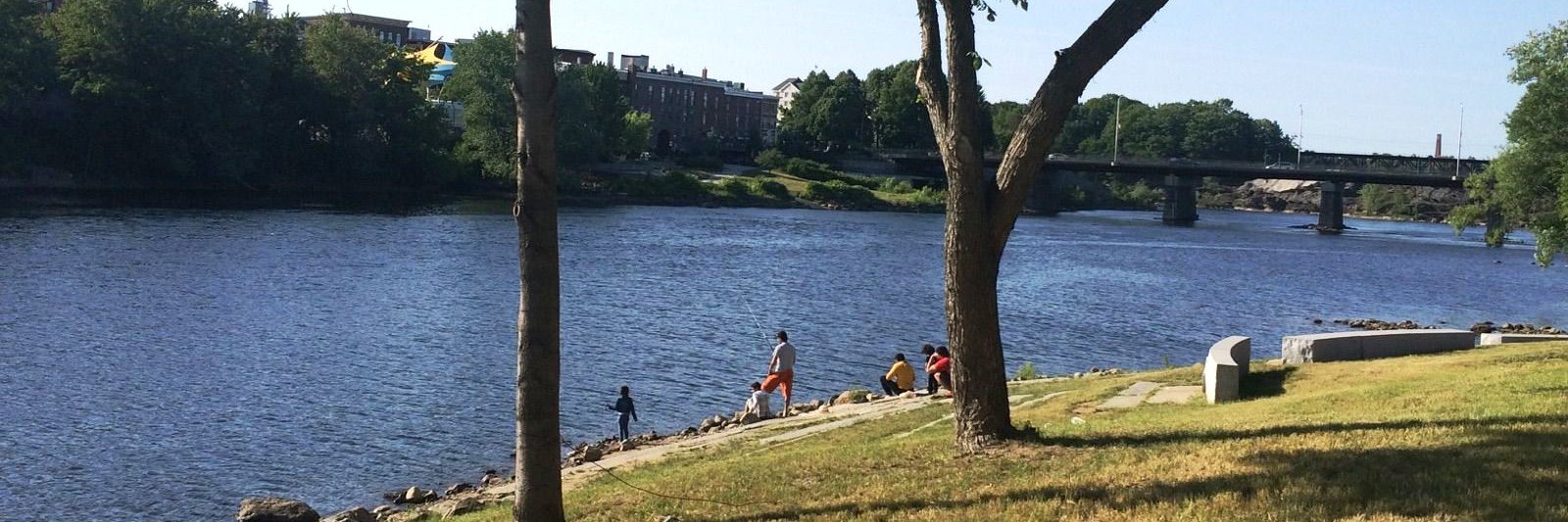 Lewiston Government banner