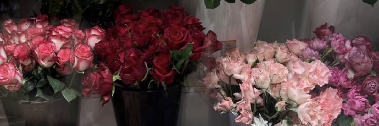 sh_i404's profile banner image