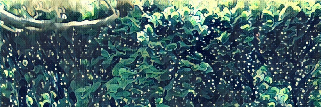 BJBarber's profile banner image