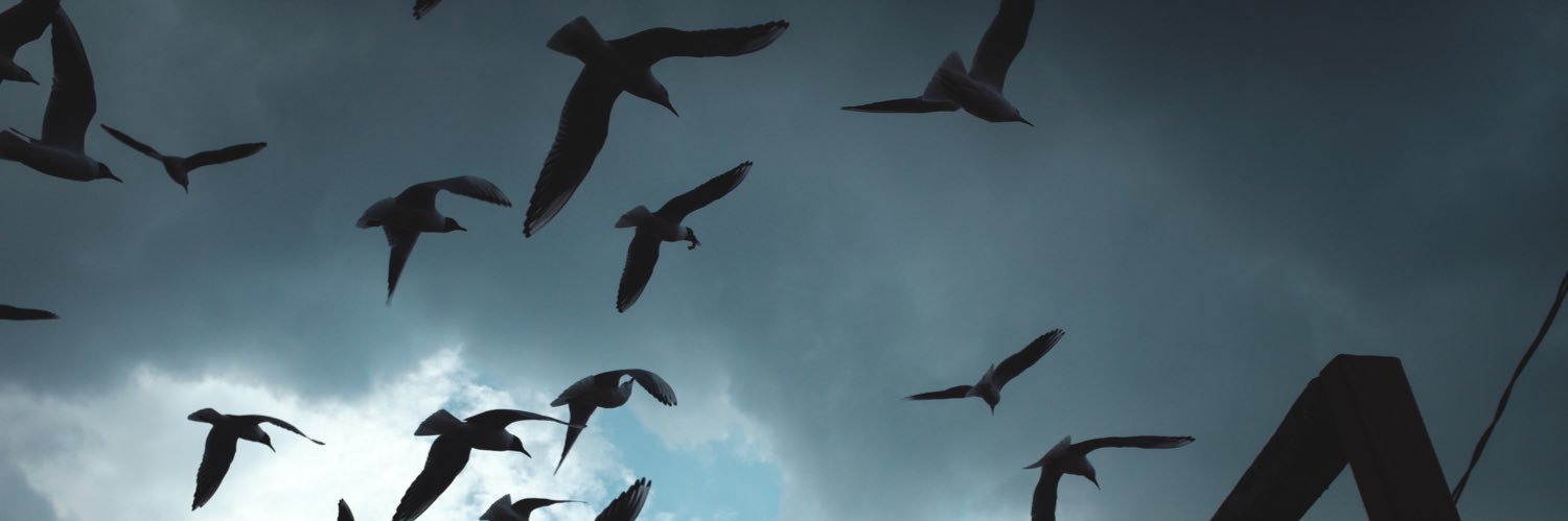 777 banner
