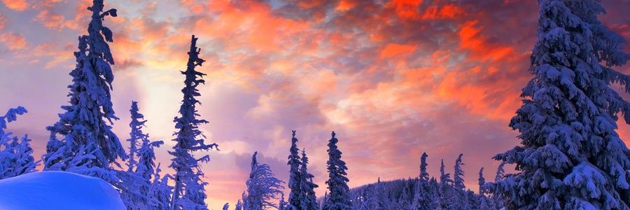 Valham242's profile banner image
