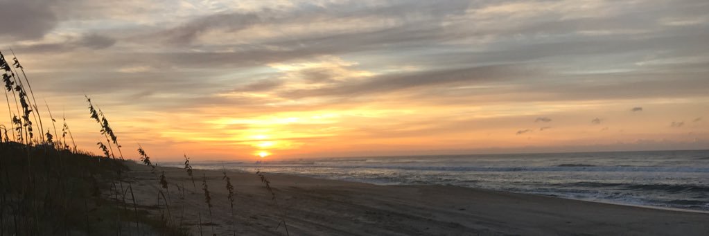 Karen Albritton banner