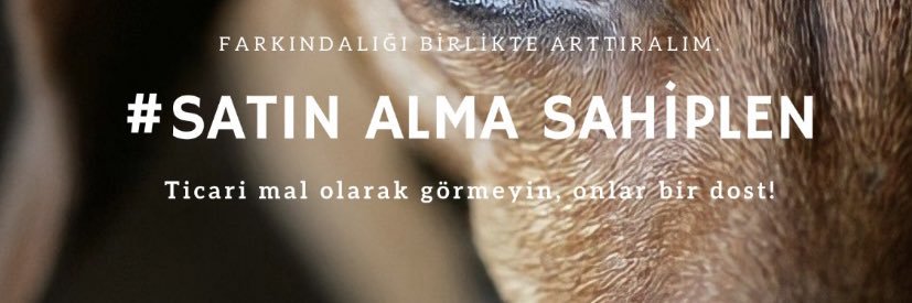 usakpatigiller's profile banner image