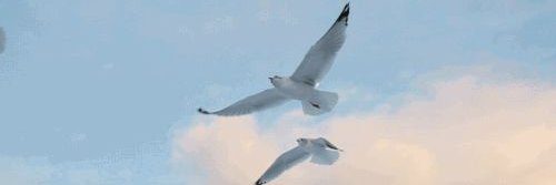 whsnly2's profile banner image