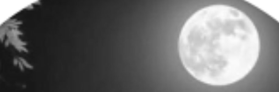 jfvqls's profile banner image