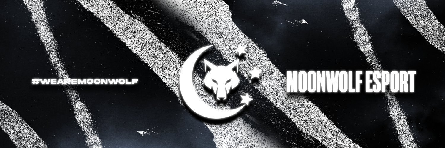Moonwolf E-sport banner
