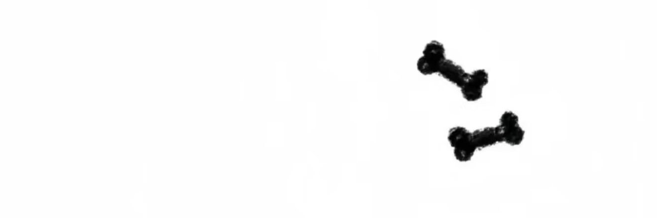 iiqesx's profile banner image