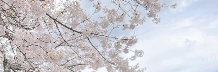 Ha banner
