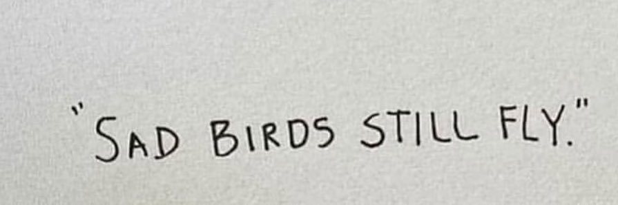 ام فيتوريا banner