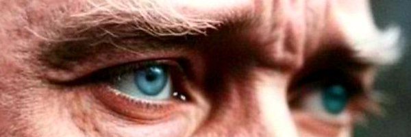 vanellopex3 Profile Banner
