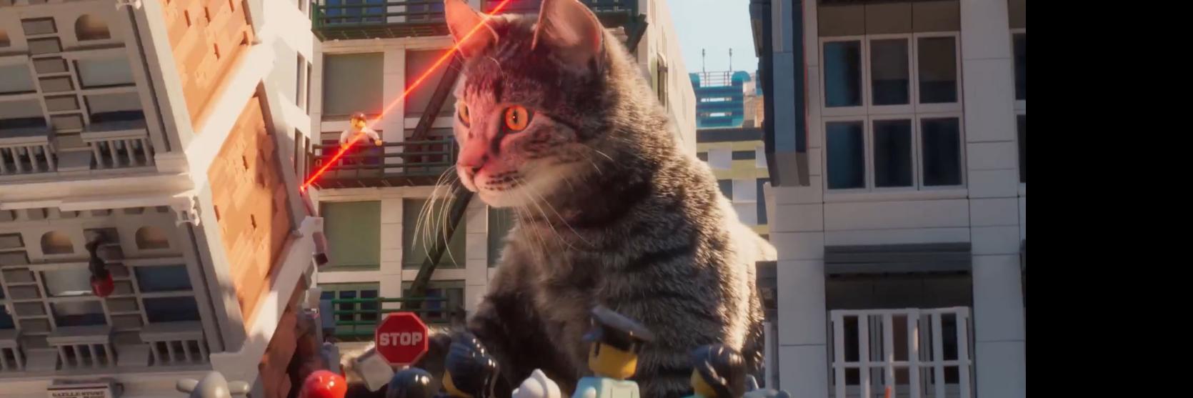 Cat Lady 👷‍♀️ banner