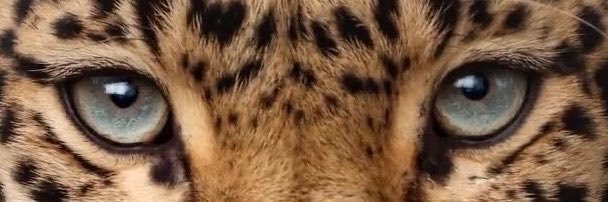 if3rur's profile banner image