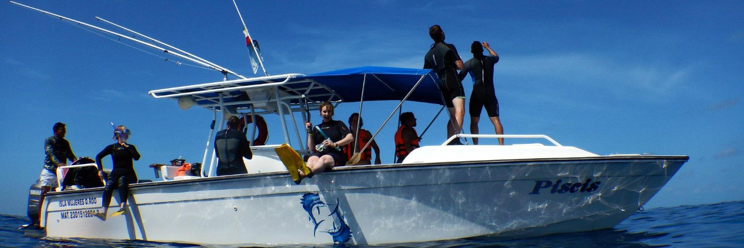 TradeThePattern 📊 banner