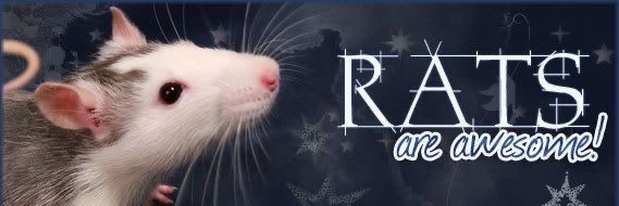 rat banner