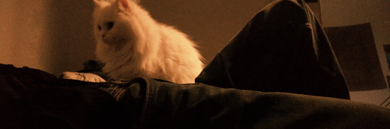 0wildflowerr's profile banner image