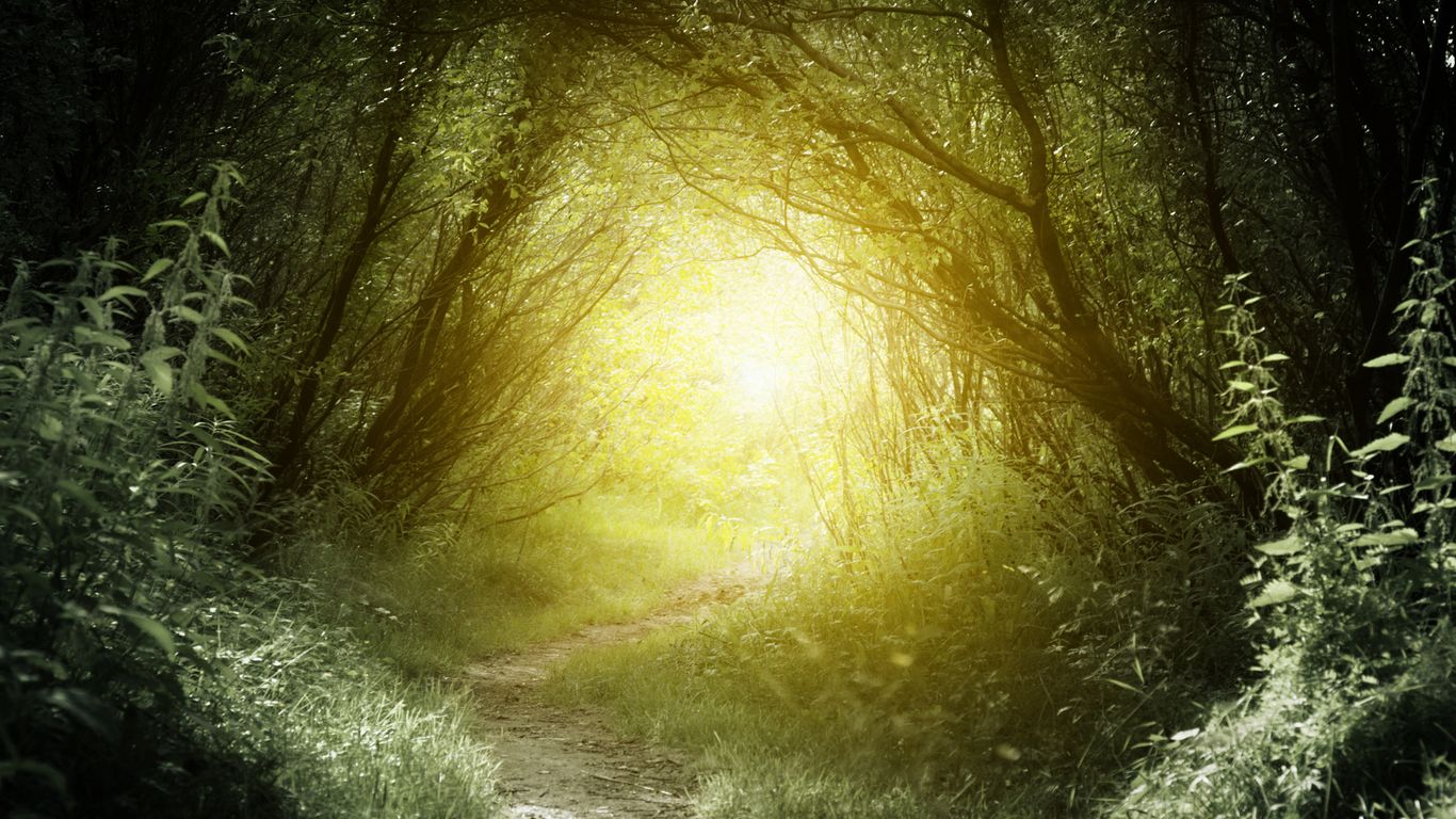 dangsymtor1572's profile banner image