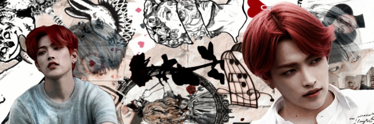 caosedeleganza's profile banner image