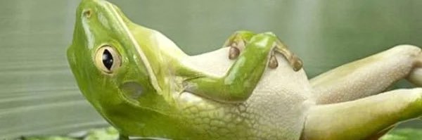 FrankCedar55's profile banner image
