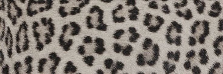 noa banner
