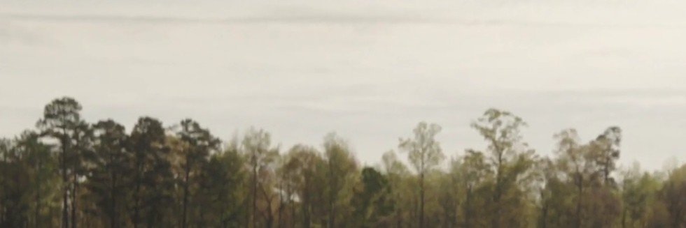 fvvrtanime's profile banner image
