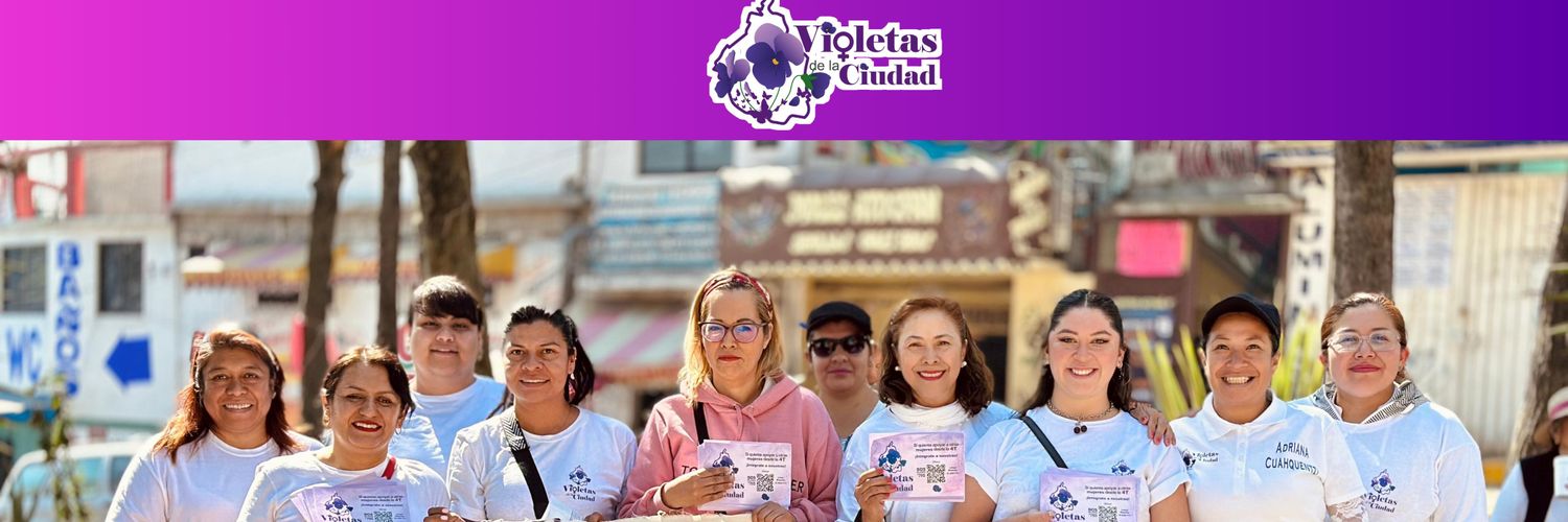 violetasDciudad's profile banner image