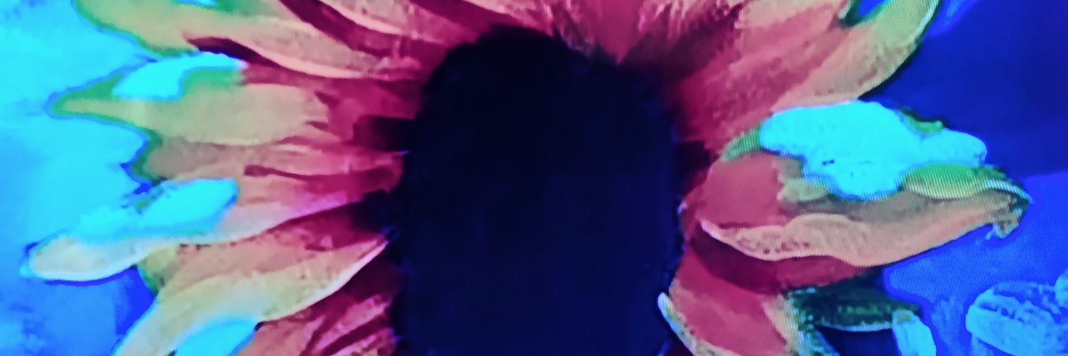 twobears2000's profile banner image