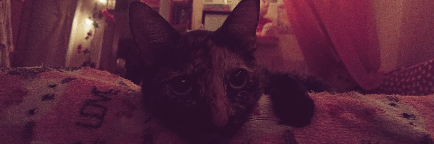 lywstarx's profile banner image