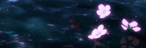 samaaekie's profile banner image