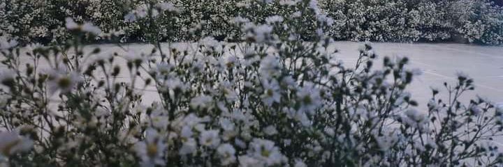Nathee252540's profile banner image