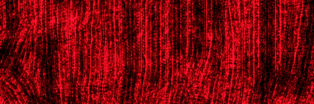 NitoTheSilli's profile banner image