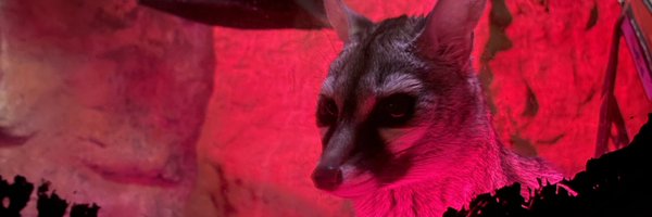 Degenetrate Profile Banner